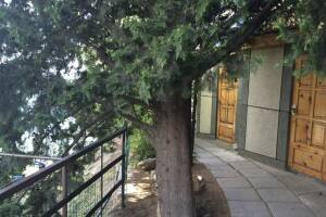 Изображение Изображение: Номер «Эконом» #1 #5