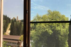 Изображение Изображение: Двухместный «Стандарт» #1 #1