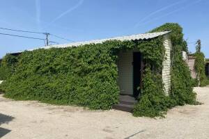 Изображение Изображение: Трёхместный «Стандарт» #1 #5