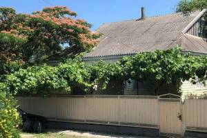 Изображение Изображение: Домик на территории гостевого дома #1 #5