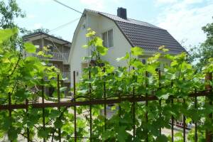 Изображение Изображение: Мансарда #1 #2