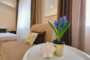 Изображение Изображение: Студия 3х местная с мини-кухней #1 #4