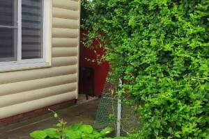 Изображение Изображение: Двухкомнатный дом #1 #2