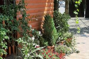 Изображение Изображение: Домик-студия со всеми удобствами #1 #6