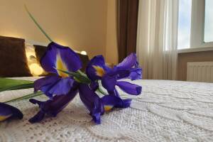 Изображение Изображение: Пятиместный «Стандарт» #1 #15