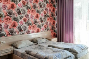 Изображение Изображение: Двухместный «Стандарт» с балконом #1 #6