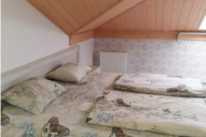 Изображение Изображение: Двухместный «Стандарт Мансарда» #1 #8