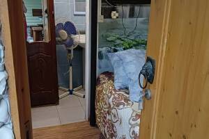 Изображение Изображение: Одноместный «Эконом» #1 #1