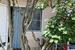 Изображение Изображение: 2-х местный «Стандарт» #1 #3