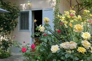 Изображение Изображение: 4-х местный «Стандарт» #1 #7