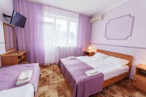 Изображение Изображение: «Полулюкс» 3-х местный с террасой #1 #5