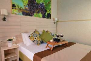 Изображение Изображение: Двухместный «Полулюкс» с террасой #1 #3