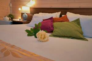 Изображение Изображение: 2-х местный номер «Эко» #1 #17