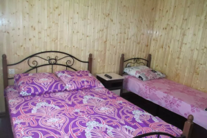 Изображение Изображение: Четырехместный «Люкс» #1 #1