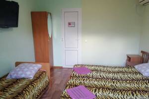 Изображение Изображение: 3-х местный «Стандарт» #1 #1