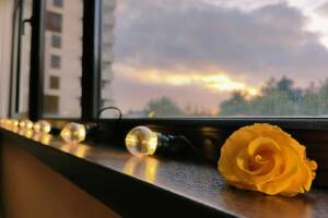 Изображение Изображение: 6ти местный Комфорт с видом на бассейн #1 #10