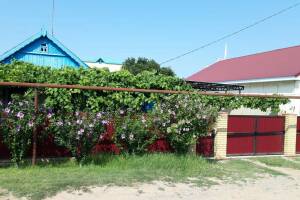 Изображение Изображение: Домик #1 #2