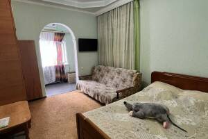 Изображение Изображение: «Стандарт» #1 #1