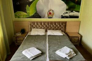 Изображение Изображение: «Делюкс» 2-х местный + 1. Балкон с видом на реку #1 #4