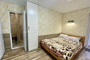 Изображение Изображение: Двухместный номер с одной двуспальной кроватью #1 #5