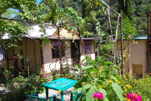 Изображение Изображение: 3-х местный «Стандарт» 1 #1 #3