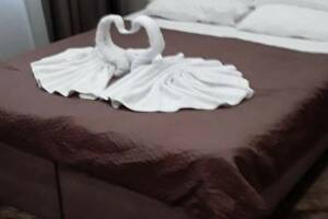 Изображение Изображение: Номер «Семейный Стандарт» #1 #1