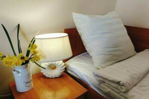 Изображение Изображение: 3-х местный «Стандарт» с балконом #1 #4