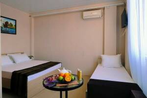 Изображение Изображение: «Комфорт» 3-х местный #1 #19