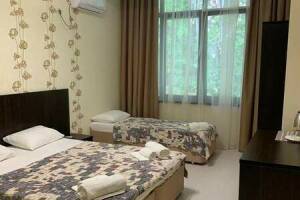 Изображение Изображение: 3-х местн. вид на лес без балкона #1 #2