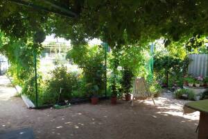 Изображение Изображение: Дом #1 #3