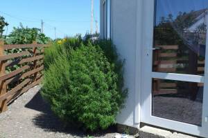 Изображение Изображение: № 1 «Делюкс» #1 #1