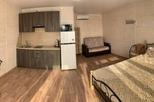 Изображение Изображение: Номер с двуспальной кроватью и раскладным диваном #1 #1