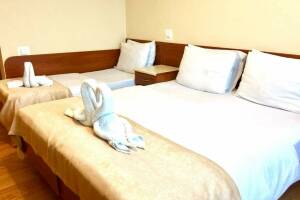 Изображение Изображение: 3-х местный «Стандарт» #1 #2