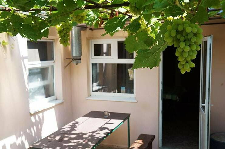 Изображение гостиницы "Гостевой дом «Иван да Марья»" #1