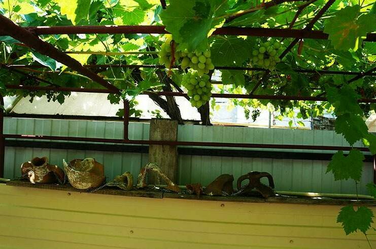 Изображение Изображение гостиницы &quot;Гостевой дом «Иван да Марья»&quot; #9 #7