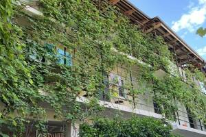 Изображение отеля / гостиницы "Гостевой дом «Адыга»"