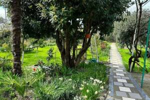 Изображение квартиры / апартамента "Апартаменты с отдельным входом «Адам»"