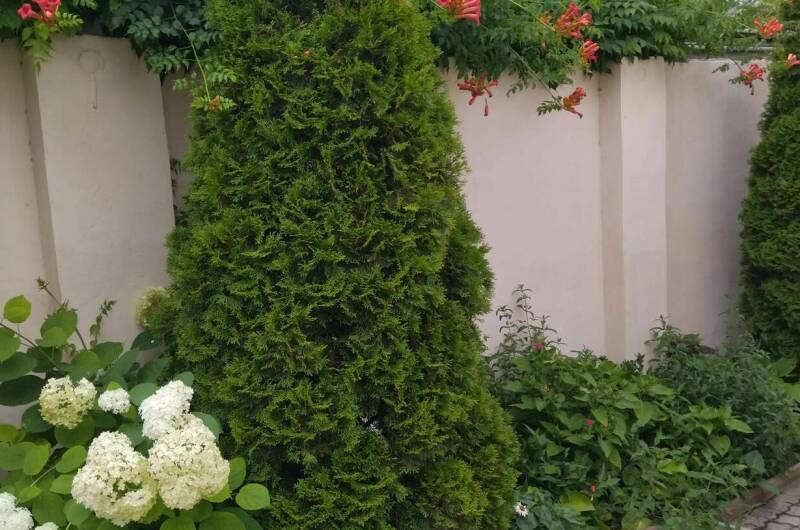 Изображение Изображение гостиницы &quot;Гостевой дом «Ирэн»&quot; #4 #2