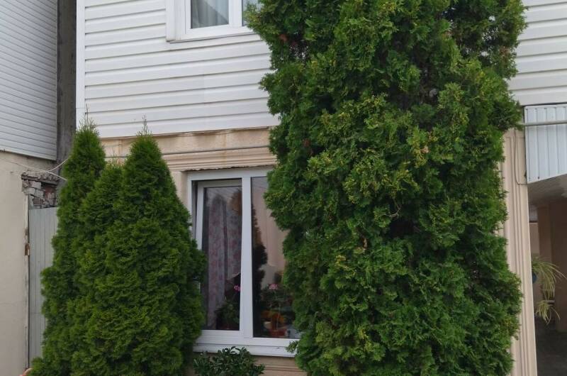 Изображение Изображение гостиницы &quot;Гостевой дом «Ирэн»&quot; #6 #4