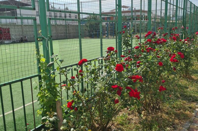 Изображение Изображение квартиры &quot;Апартаменты ЖК «Кавказ»&quot; #8 #6