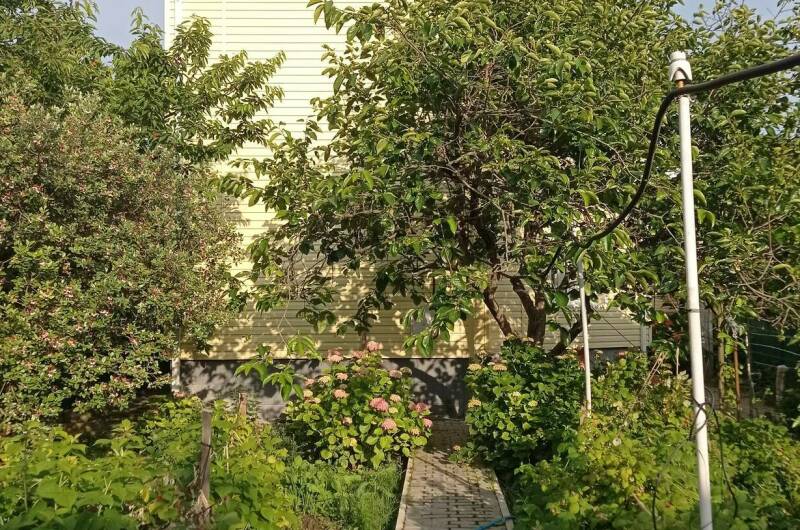 Изображение Изображение гостиницы &quot;Гостевой дом «Любушка»&quot; #4 #2