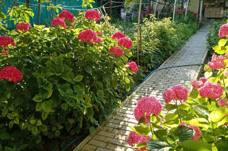 Изображение Изображение гостиницы &quot;Гостевой дом «Любушка»&quot; #6 #4