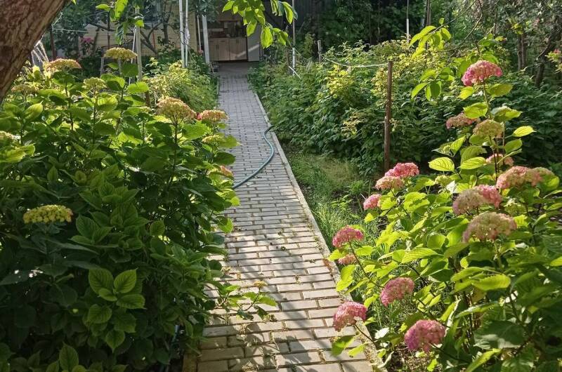 Изображение Изображение гостиницы &quot;Гостевой дом «Любушка»&quot; #8 #6