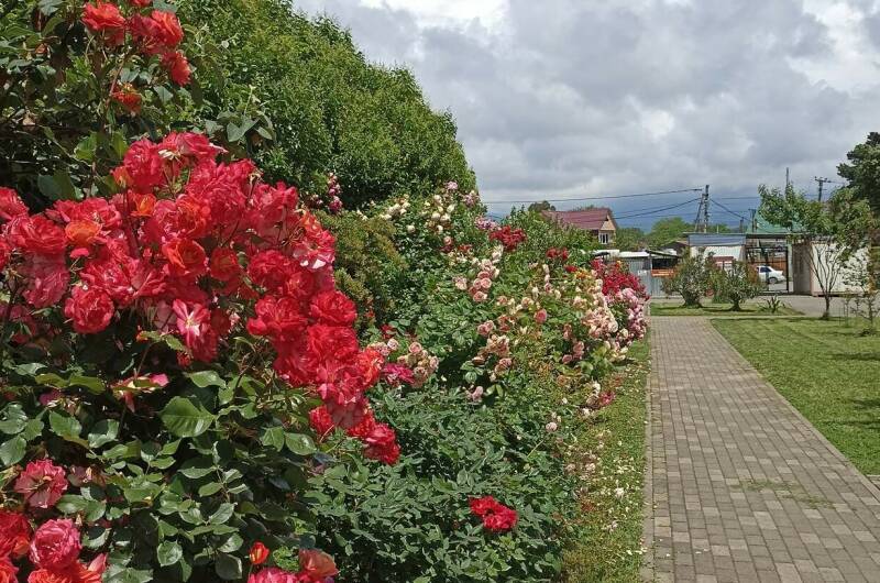 Изображение Изображение квартиры &quot;Трёхкомнатная квартира в Сириусе&quot; #8 #6