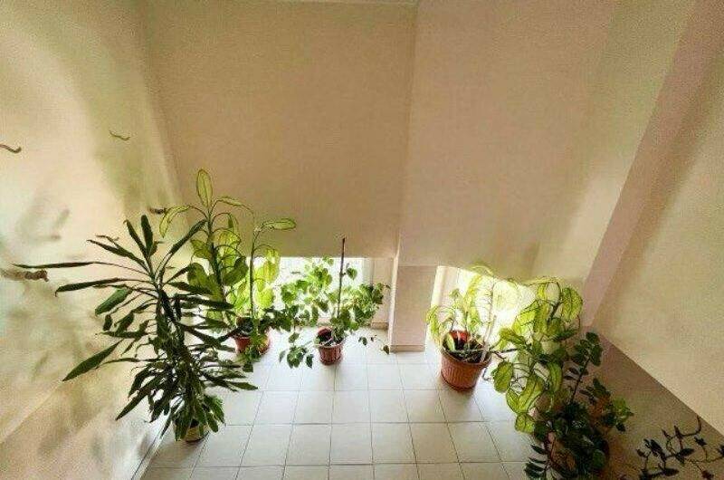 Изображение Изображение гостиницы &quot;Гостевой дом «Мирный»&quot; #4 #2