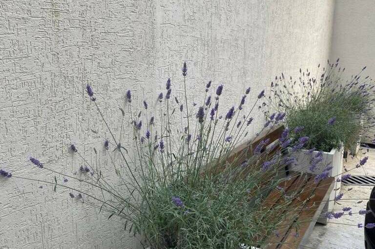 Изображение Изображение квартиры &quot;Уютная студия&quot; #7 #5