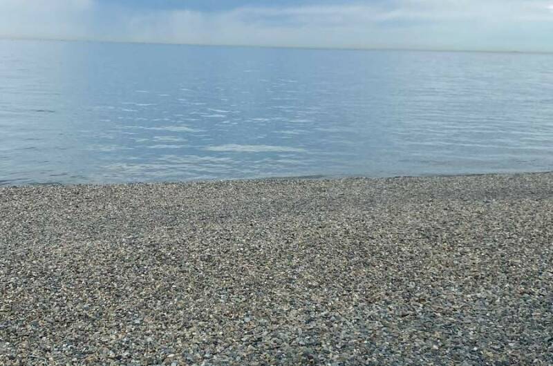 Изображение Изображение квартиры &quot;Уютная студия&quot; #8 #6