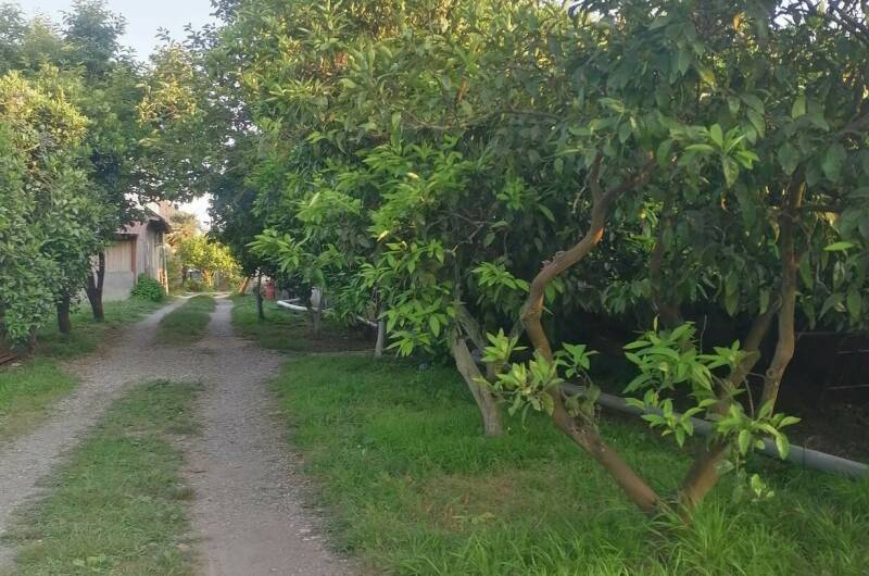 Изображение Изображение гостиницы &quot;Гостевой дом «De Sofía»&quot; #6 #4