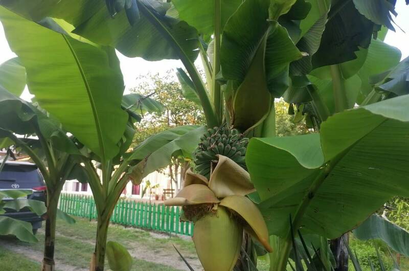 Изображение Изображение гостиницы &quot;Гостевой дом «De Sofía»&quot; #10 #8