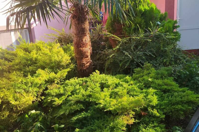 Изображение Изображение гостиницы &quot;Частный сектор «На Советской»&quot; #9 #7